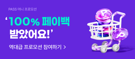 페이백쇼핑